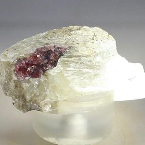 May include: A raw mineral specimen featuring a translucent, pale off-white crystalline base with a prominent, irregular cluster of deep red, glossy garnet crystals embedded on the upper left surface, showcasing natural textures and facets.