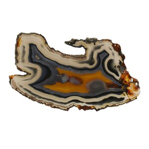 Peut inclure: Une tranche d'agate avec un motif de bandes brunes, blanches et grises. L'agate a un centre jaune avec quelques petites inclusions rondes grises.