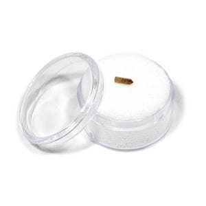 May include: A small, transparent plastic container with a clear lid, open to the side. Inside, a small, brown, pointed crystal rests on a white, fluffy surface. The crystal is a light brown color.
