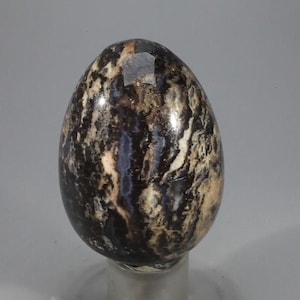 May include: A polished, egg-shaped stone with a marbled pattern of black, brown, beige, and hints of blue. The surface is glossy, reflecting light. The stone is displayed on a clear stand, showcasing its natural beauty.