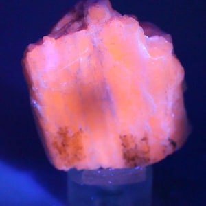 May include: A raw mineral specimen exhibiting a vibrant, glowing orange fluorescence under ultraviolet light. The crystalline structure features jagged, uneven edges and textured surfaces with small, darker brown inclusions scattered across the lower portion.