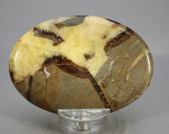 May include: A polished, oval-shaped stone with a unique pattern. The stone features a blend of colors, including tan, brown, and yellow. The stone is displayed on a clear, plastic stand, showcasing its natural beauty and intricate design.