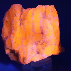 May include: A raw mineral specimen exhibiting intense fluorescent orange coloration under ultraviolet light. The stone features a jagged, crystalline surface with deep crevices and a rough, uneven texture throughout its entire structure.