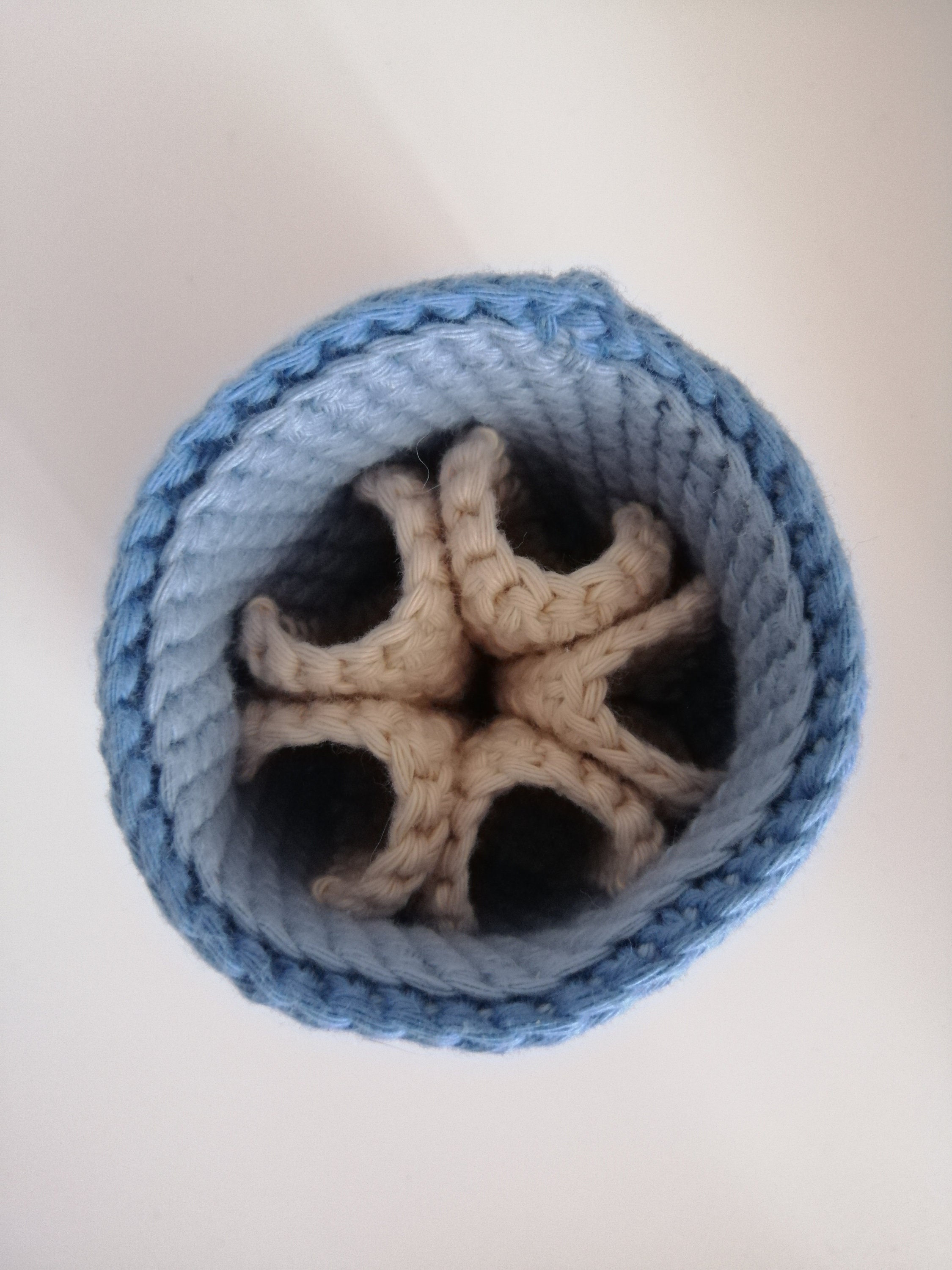 Corbeille de Rangement Pour Huiles Essentielles