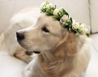 Collar de perro blanco, collar de perro con anillo, collar de perro con flores, collar de perro para niño, collar de perro con flores, collar de perro de primavera, collar de perro para boda, collar de perro para niña.