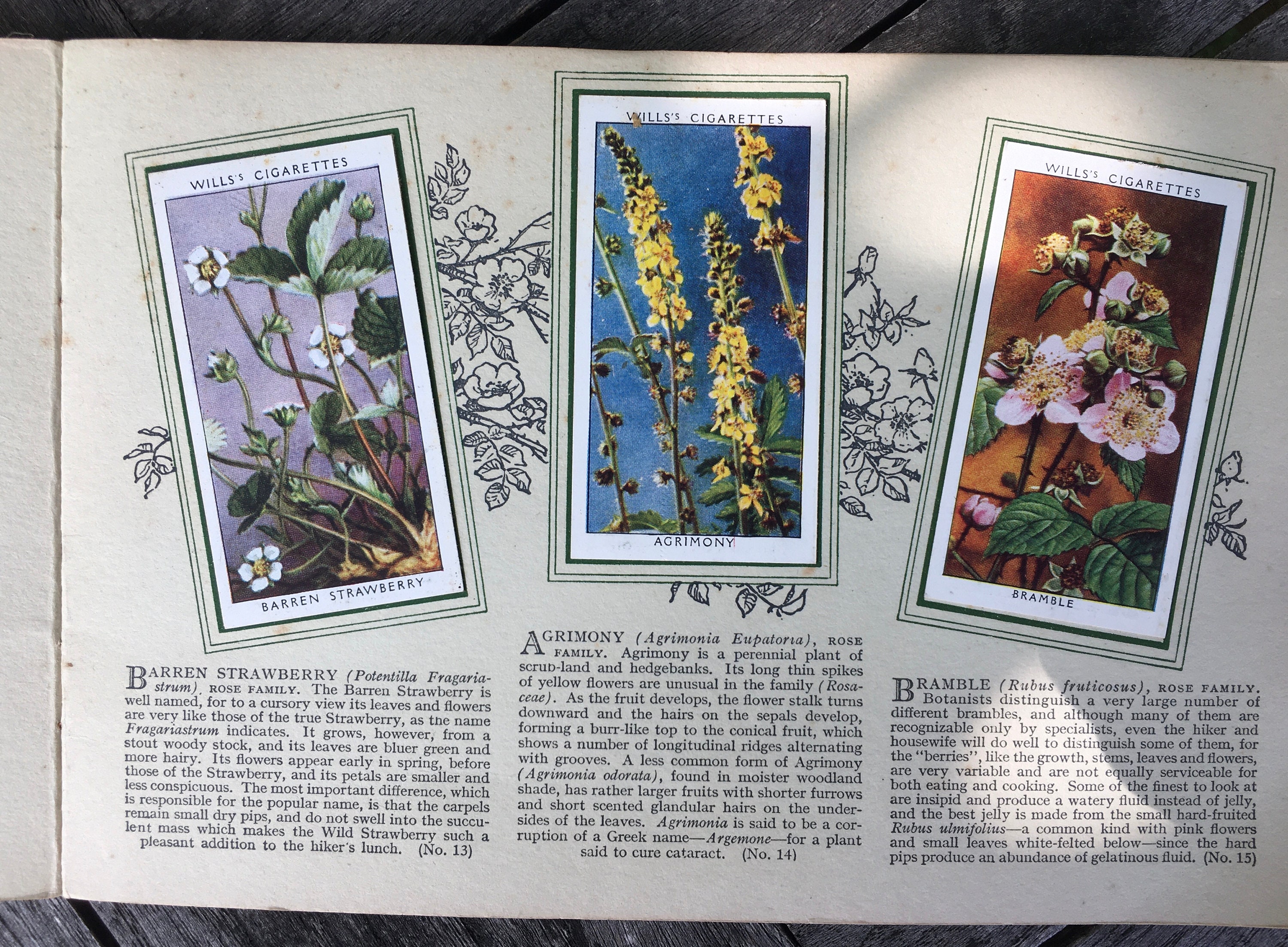 cigarette trading cards Cigarette/Trade Card Collection & Trade
