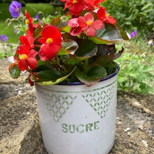 Vintage French Enamel Sugar Tin