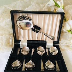 Vintage Set of 6 piece Desert  Cutlery - Spoons and Serving Spoon - Silver Plated ~ Boxed