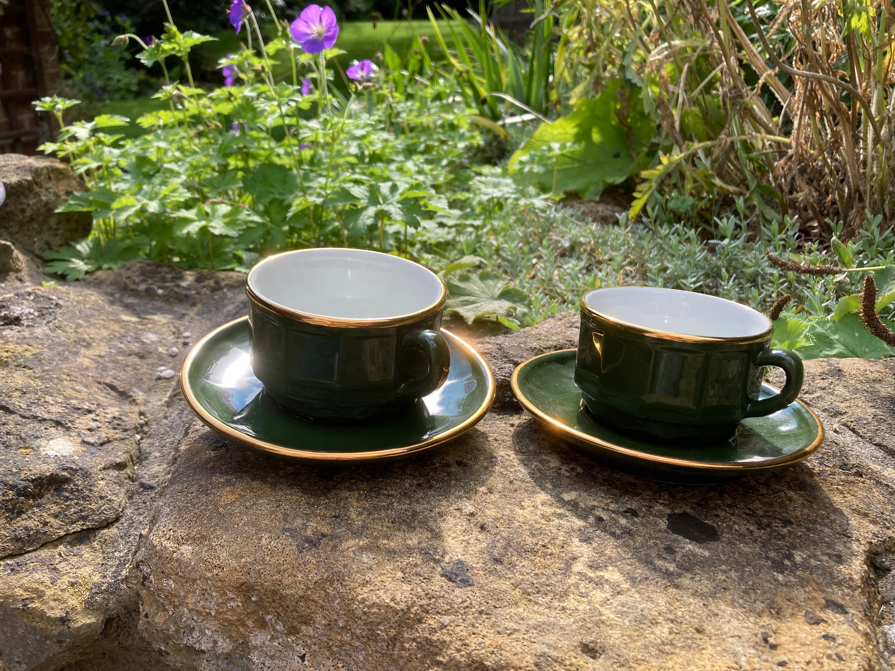 【未使用】 フランス APILCO アピルコ フローラ カップ&ソーサー ポット Amazon | APILCOアピルコ フローラ ショコラカップ＆ソーサー 3セット