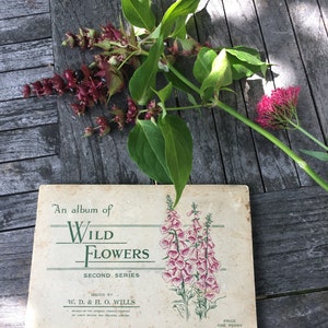 Álbum completo de flores silvestres vintage. Álbum de cartões de cigarro colecionáveis dos anos 1930.