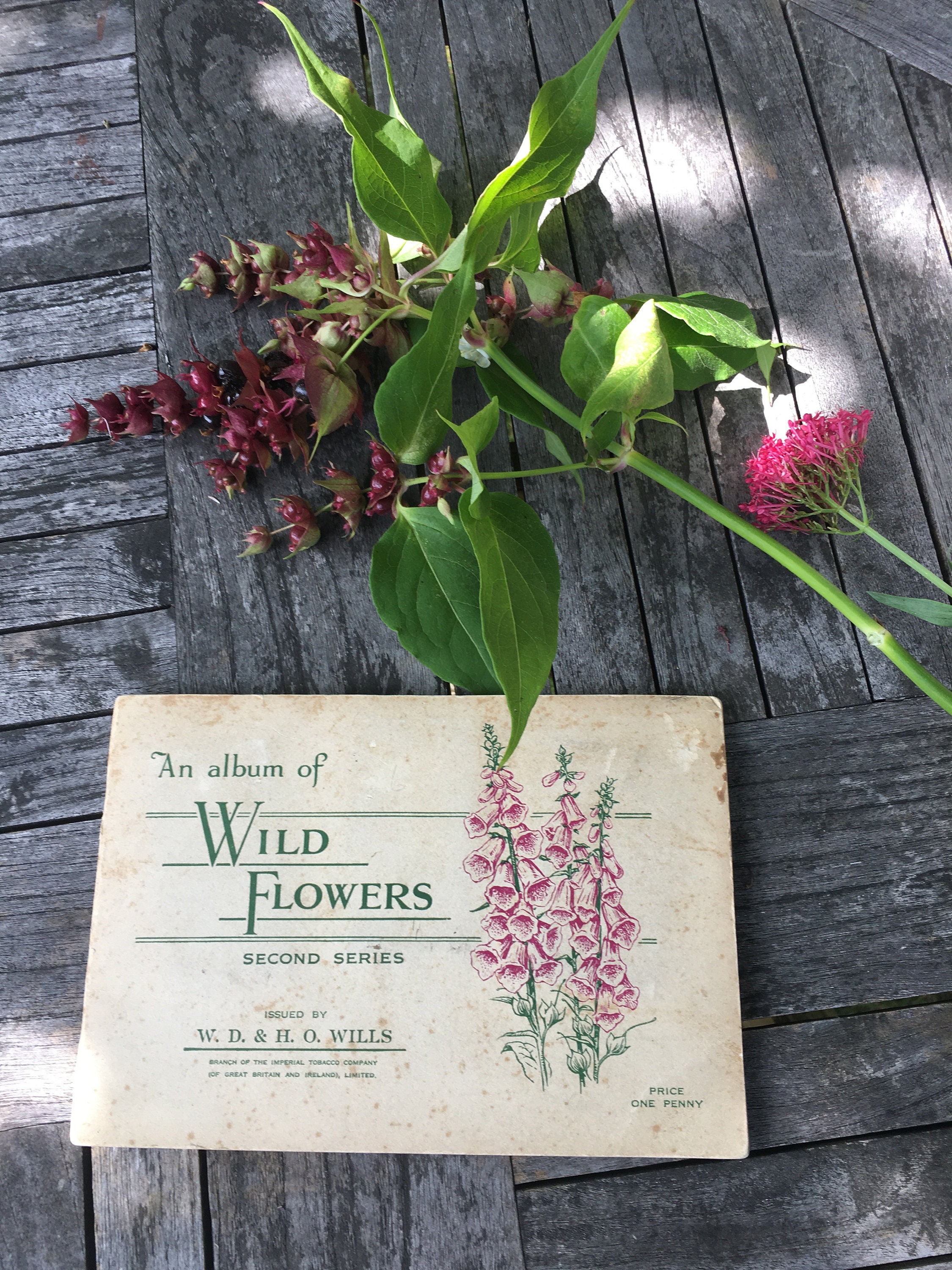 Vintage Wild Flowers Complete Album. 1930s Collectable Cigarette Cards Album. 