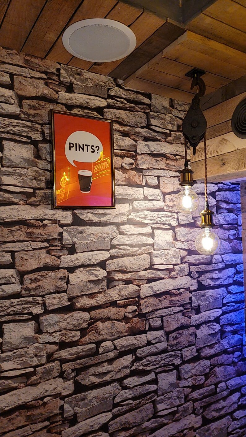 Puede incluir: Un p&oacute;ster enmarcado con el texto "PINTS?" encima de un gr&aacute;fico de una pinta de cerveza negra. El p&oacute;ster cuelga de una pared de piedra, con dos l&aacute;mparas colgantes con bombillas Edison colgando del techo. El techo es de madera.