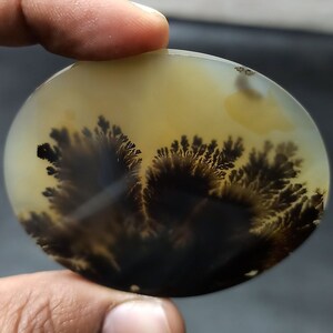 Amazing Beautiful Shazar Stone Dendrite Agate Cabochon Gemstone Natural Healing Stone Use For Rings and necklaces etc 12Carat 29x21x2mm