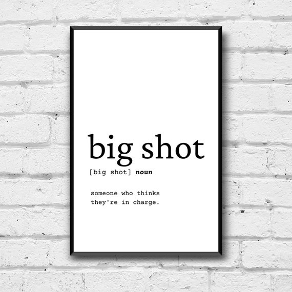 Big shot definition  Big shot meaning - words to describe someone