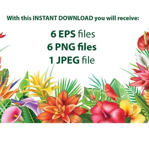 Blomsterarrangemang | Tropiska ramar och kanter för inbjudningar, kort | Blommor PNG, EPS | Botanisk clipart bild 3