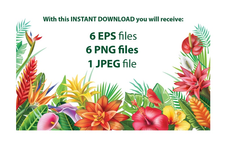 Blomsterarrangemang | Tropiska ramar och kanter för inbjudningar, kort | Blommor PNG, EPS | Botanisk clipart bild 3