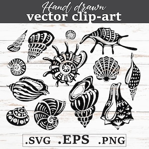 Shell Clipart Bundle SVG PNG EPS | Seashell Silhouettes | Beach Theme Digital Files | Shell Stencil Designs for Cricut & Silhouette