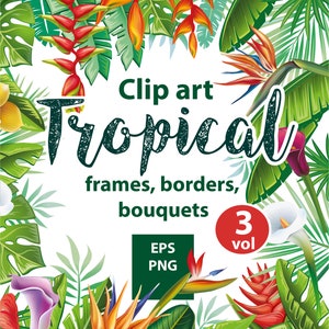 Tropical Paradise | Tropical Frame Design | Plants and flowers for Invitations, Cards | PNG, EPS