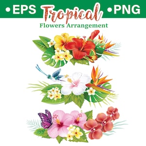 Tropical Flowers Vector Clipart – Exotic Floral Arrangement & Leaves Set,  Botanicals for Sublimation  Design