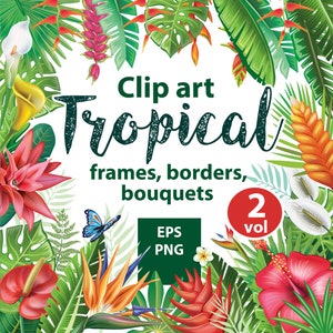 Tropische Pflanzen und Blumen, Blumen Arrangement, Tropische Clip arts, Tropische Blume EPS, PNG