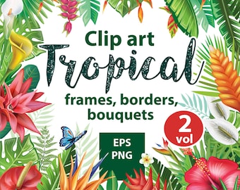 Bordes de marcos tropicales / Plantas y flores tropicales, Arreglos florales, Clip arts tropicales, Flores tropicales EPS, PNG