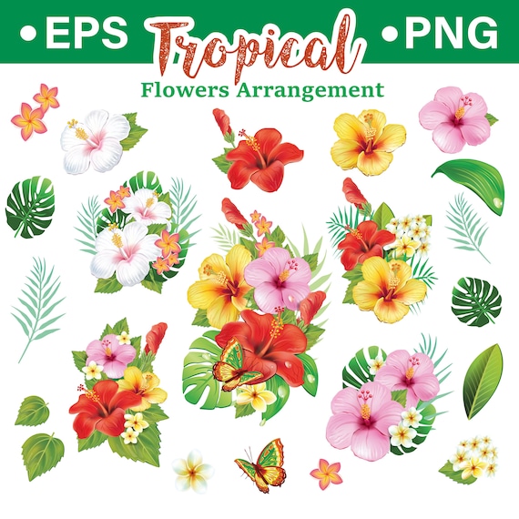 Tropical Flowers Vector Clipart – Exotic Floral Bouquets Leaves Set, Jungle Botanicals for Sublimation  Design