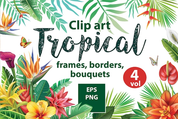 Flowers Arrangement | Tropical frames and borders for Invitations, Cards| Flower PNG, EPS | Botanical clipart