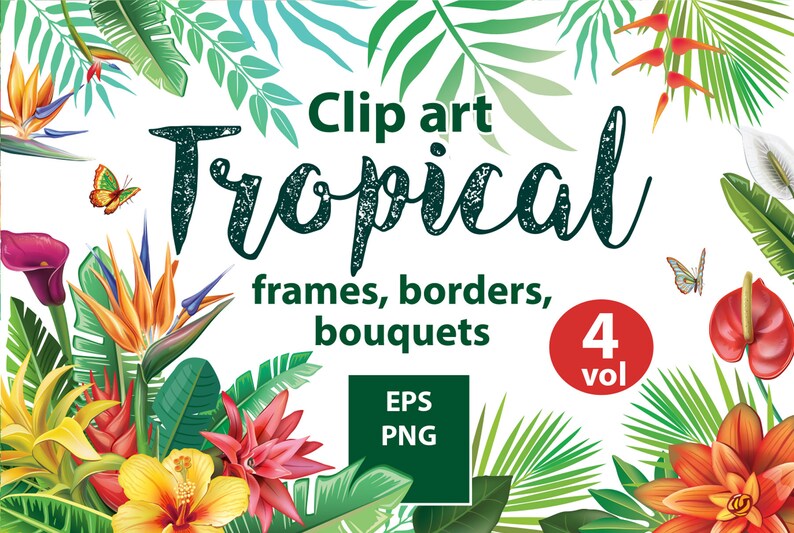 Blomsterarrangemang | Tropiska ramar och kanter för inbjudningar, kort | Blommor PNG, EPS | Botanisk clipart bild 1