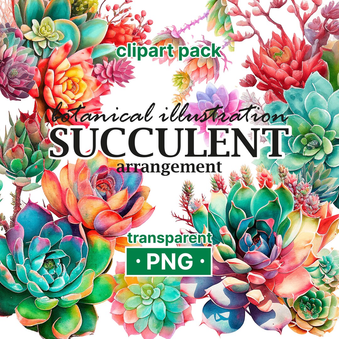 Succulent Clipart, Botanical Illustration, PNG, Paper Craft ...
