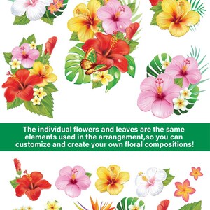 Puede incluir: Una colecci&oacute;n de flores y hojas tropicales, incluyendo hibisco, plumeria y hojas de monstera. Las flores son de varios colores, incluyendo rojo, rosa, amarillo y blanco. Las hojas son verdes y tienen un acabado brillante.
