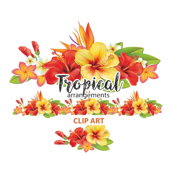 Tropical plants and flowers, Flowers Arrangement, Tropical clip art, Summer vibes, PNG file, Arrangements png, Tropical flower png