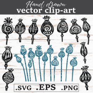 Dekorative Mohnköpfe, Papaver Design, Tattoo Poppy