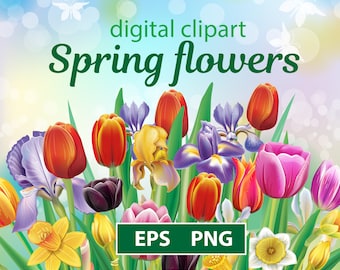 Arrangements with spring flowers, Floral Clip Art, EPS, PNG