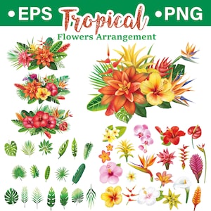 Tropical Flowers Arrangement Clipart - Exotic Floral Elements for Invitations, Prints, and Crafts - EPS and PNG Included