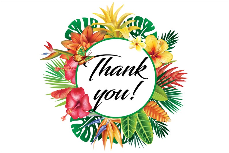 Blomsterarrangemang | Tropiska ramar och kanter för inbjudningar, kort | Blommor PNG, EPS | Botanisk clipart bild 6