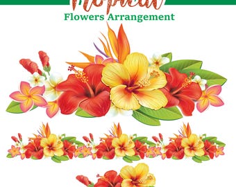 Arreglos de hibisco tropical dibujados a mano y elementos individuales: archivos vectoriales EPS y PNG para diseños de verano