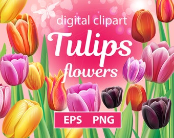 Tulipanes Floral Clipart, Spring Tulip Flower PNG, Floral Clip Art, EPS