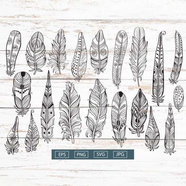 Light delicate feathers Clip Art Bundle SVG, PNG, EPS, Cricut, feather outline