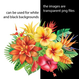 Blomsterarrangemang | Tropiska ramar och kanter för inbjudningar, kort | Blommor PNG, EPS | Botanisk clipart bild 5