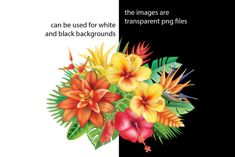 Blomsterarrangemang | Tropiska ramar och kanter för inbjudningar, kort | Blommor PNG, EPS | Botanisk clipart bild 5