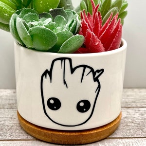 May include: A white ceramic planter with a black and white illustration of a cartoon character with large eyes. The planter is filled with a variety of green and red succulents.