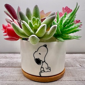 May include: A white ceramic planter with a black and white illustration of Snoopy. The planter is filled with a variety of succulents, including green, red, and pink.
