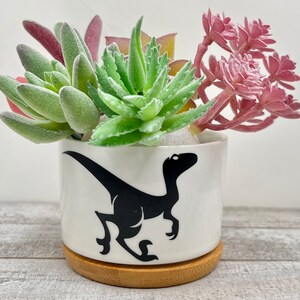 May include: A white ceramic planter with a black silhouette of a velociraptor. The planter has a bamboo base and is filled with a variety of succulents, including green and pink varieties.