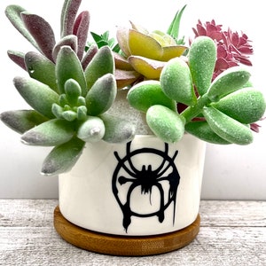 May include: White ceramic planter with a black spider-man logo, featuring a black spider with a web design. The planter is filled with a variety of green and pink succulents. The planter sits on a wooden base.
