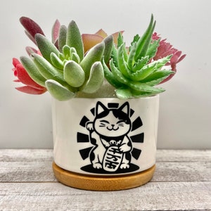 May include: White ceramic planter with a black and white illustration of a Japanese Maneki-Neko cat holding a coin. The planter has a bamboo base and is filled with a variety of succulents.