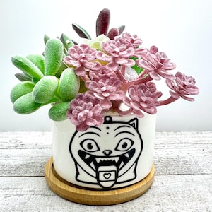 May include: A small, white ceramic pot with a black cat face design, holding a variety of faux succulents. The succulents are in shades of green, pink, and purple. The pot sits on a small, round wooden coaster.