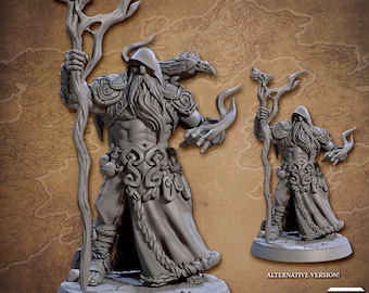 Wodan The Allseer, Skutagaard Northmen Saga II, D&D, RPG