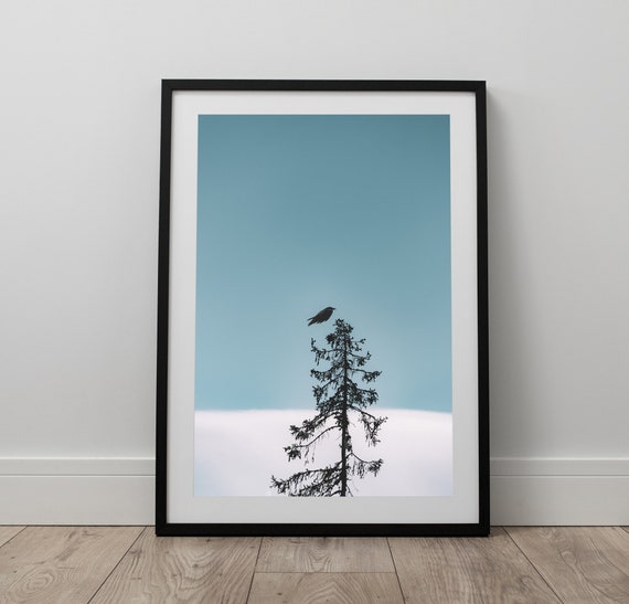 Tree Top Print Bird Wall Art Tree Bird Photography Wall Art Etsy