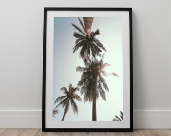 Palm Tree Print, Palm Wall Art, Summer Photography, Wall Art Print, Tropic Art, Printable, Summer Wall Decor, Palm Tree Photo Print