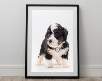 Dog Print, Pets Wall Art, Dog Photography, Wall Art Print, Animals Art, Printable, Animals Wall Decor, Dog Photo Print